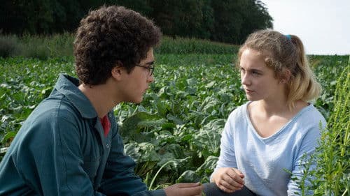 Le jeune Ahmed Bild 3