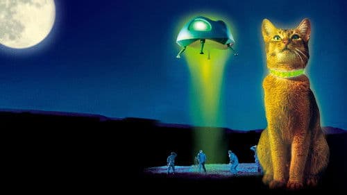 Die Katze aus dem Weltraum Bild 4