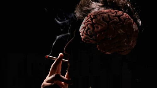 How Drugs Work Bild 3