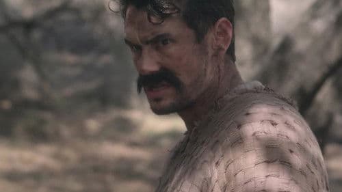 Don Quijote von der Mancha Bild 2