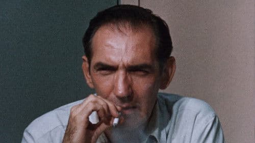 Hideout in the Sun Bild 2