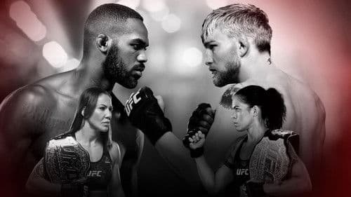 UFC 232: Jones vs. Gustafsson 2 Bild 1