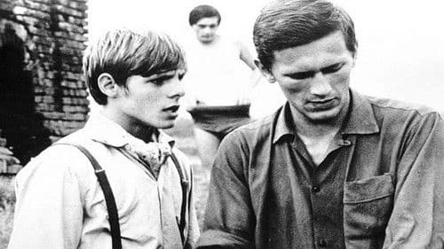 Cyrograf dojrzałości Bild 3