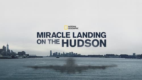 Miracle Landing on the Hudson Bild 4