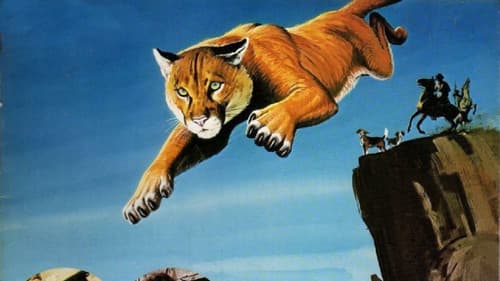 Run, Cougar, Run Bild 1