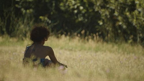 Forse non essenzialmente tu Bild 1