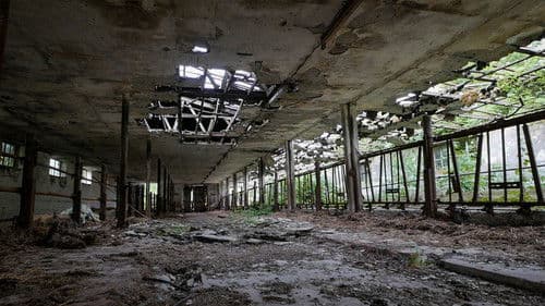 The End of Meat - Eine Welt ohne Fleisch Bild 1