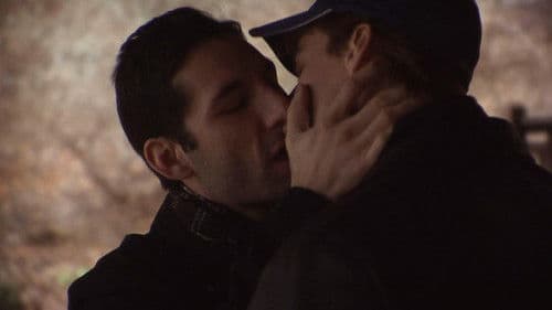 Flight of the Cardinal Bild 1