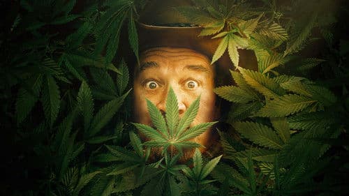 Growing Belushi Bild 1