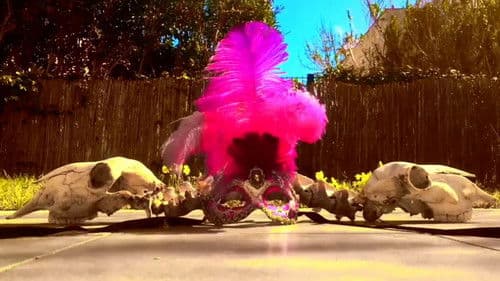 Sokoto in the CannibalCafe Bild 6