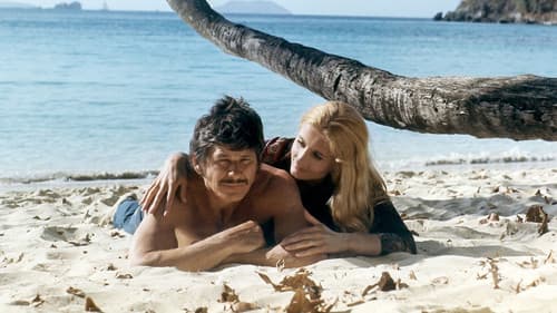 Brutale Stadt Bild 7