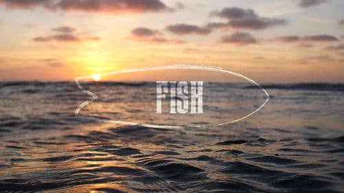 Fish: The Surfboard Documentary Bild 2