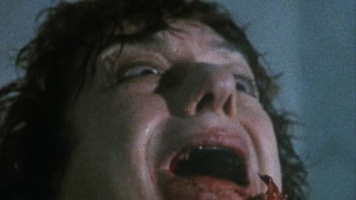 Nightmare Concert Bild 4