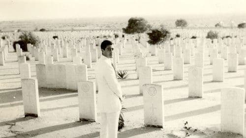 Alexandria… warum? Bild 1