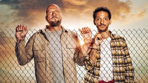 The French Mans Bild 1