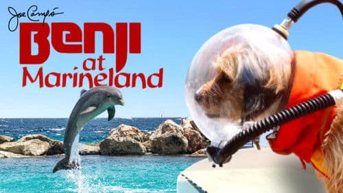 Benji at Marineland Bild 4