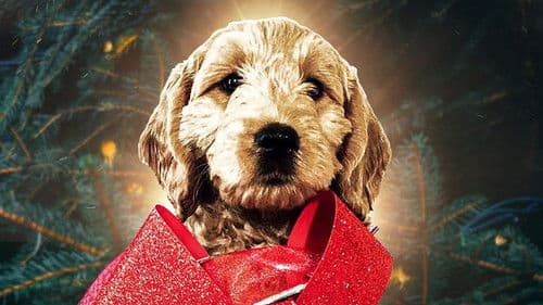 The Christmas Doodle Bild 1