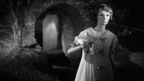 Augen ohne Gesicht Bild 4