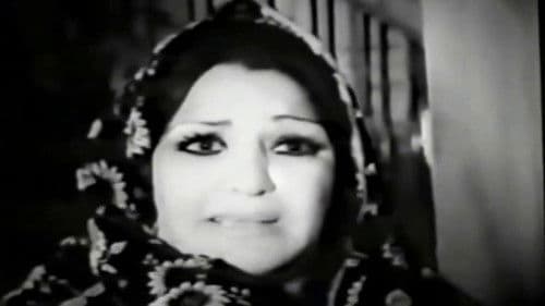 جوجه فکلی Bild 1