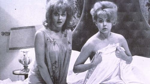 Che fine ha fatto Totò Baby? Bild 4