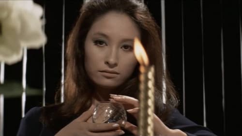 女殺し屋　牝犬 Bild 6