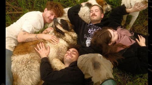 Tierbrücke - Jede Seele braucht ein Zuhause Bild 1