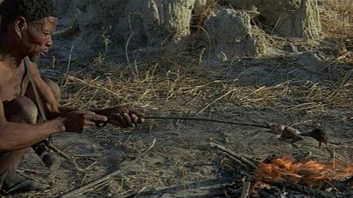 Die lustige Welt der Tiere Bild 3