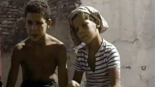 Les Moineaux d'Algérie Bild 7