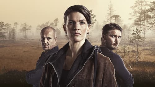 Aallonmurtaja Bild 1