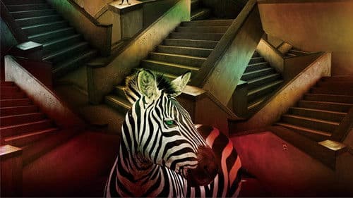 天橋上的魔術師 Bild 2