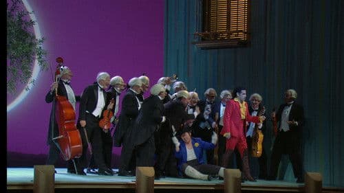 Il Barbiere di Siviglia Bild 5