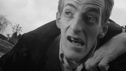 Die Nacht der lebenden Toten Bild 7