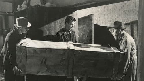 Killer at Large Bild 1