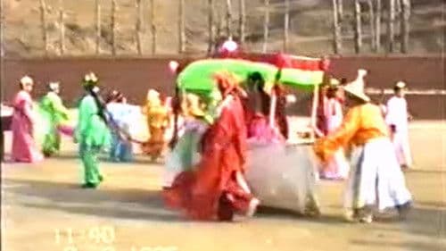 1995年2月2日民间举办迎喜花会 Bild 7