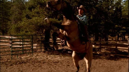 Straight From the Heart Bild 6