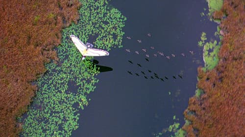 Amy und die Wildgänse Bild 6