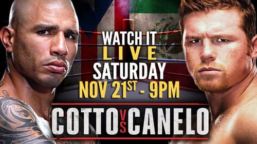 Miguel Cotto vs. Canelo Álvarez Bild 1