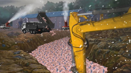 구제역에서 살아 돌아온 돼지 Bild 2