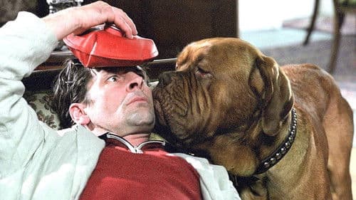 Körner und Köter Bild 1