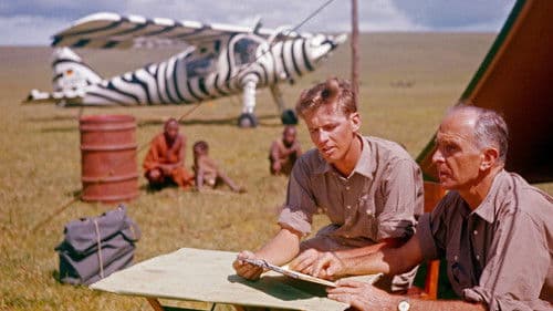 Kein Platz für wilde Tiere Bild 1