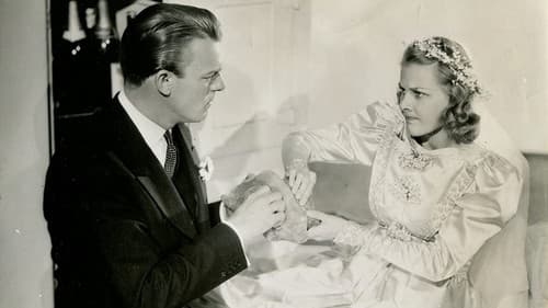 Vacation from Love Bild 1