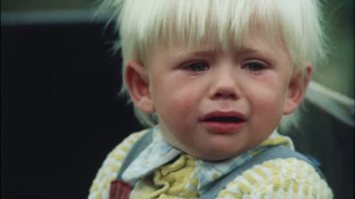 Das Wildschwein ist los Bild 3