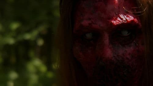 The Sky Has Fallen Bild 2