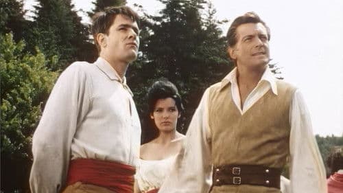 Der Zigeunerbaron Bild 2