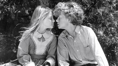 Tom Sawyers Abenteuer Bild 3