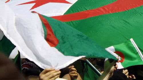 Ils Ont Choisi L'Algérie Bild 2