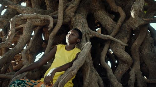 Banel e Adama Bild 8