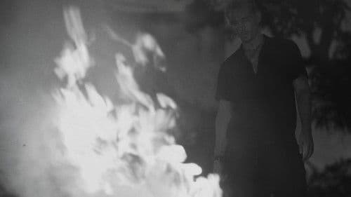 Les Cendres Du Coeur Bild 4