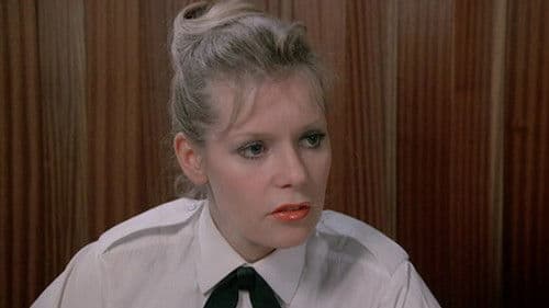 The Playbirds Bild 5