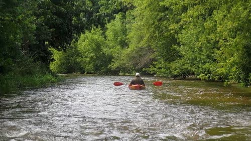 Les oiseaux de l'Est Bild 1
